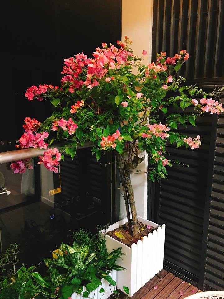 Siêu mẫu Vbiz đời đầu kiểm tra điện thoại chồng mỗi ngày, hé lộ không gian nhà mới hoành tráng - 8