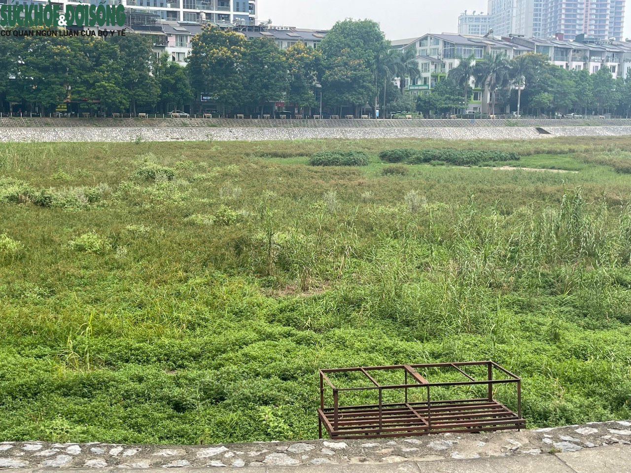 Cận cảnh hồ điều hoà ở Hà Nội cạn trơ đáy, cỏ mọc um tùm - 2