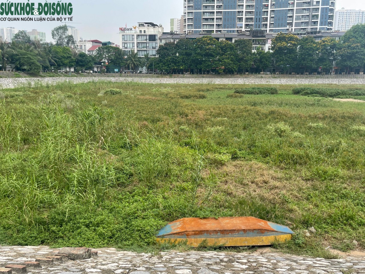 Cận cảnh hồ điều hoà ở Hà Nội cạn trơ đáy, cỏ mọc um tùm - 7
