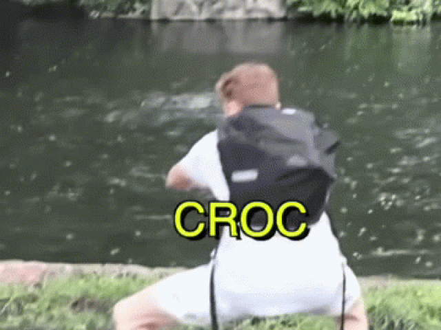 Bạn trẻ - Cuộc sống - TikToker nhảy vào chuồng cá sấu quay video nhận kết đắng