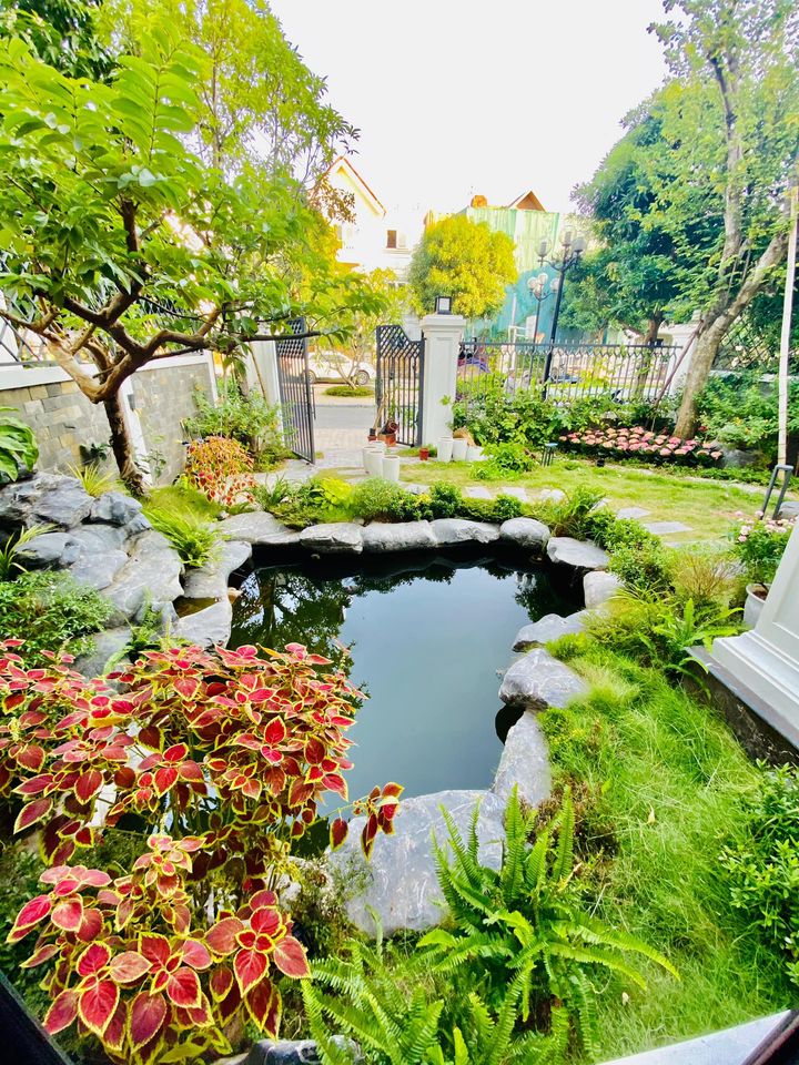 Nữ diễn viên miền Bắc có biệt thự 60 tỷ, mùa hè sung sướng trốn nóng trong bể bơi "resort tại gia" - 11