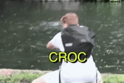 Bạn trẻ - Cuộc sống - TikToker nhảy vào chuồng cá sấu quay video nhận kết đắng
