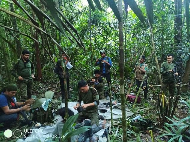 Tìm thấy 4 trẻ em mất tích sau 40 ngày máy bay bị rơi trong rừng rậm Amazon - 3