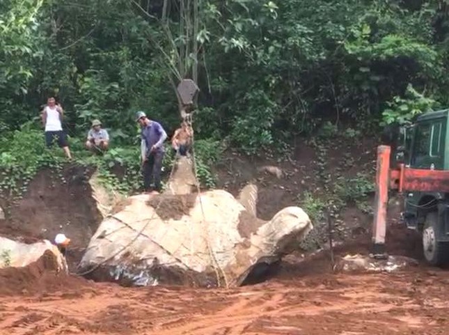 Tảng đá giống hình thù con rùa được tìm thấy ở xóm Tân Đông (xã Đồng Văn, huyện Tân Kỳ, tỉnh Nghệ An) gây xôn xao dư luận.