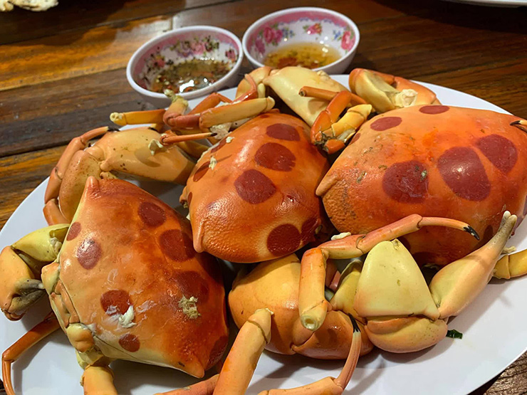 Cua mặt trăng ở trên lưng có nhiều hình tròn màu đỏ đậm, pha vào màu hồng tươi.&nbsp;
