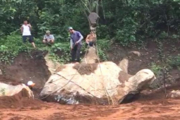 Tin tức trong ngày - Người dân đào móng nhà được tảng đá hình con rùa gây xôn xao