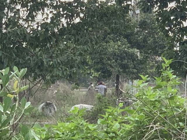 Pháp luật - Vụ án phân xác ở Bình Dương: Xác minh, điều tra hơn 100 tin báo