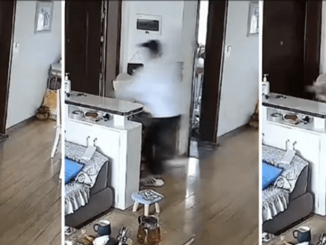 Phi thường - kỳ quặc - Vào nhà quên đóng cửa, người phụ nữ bủn rủn tay chân vì phát hiện chuyện kinh hãi