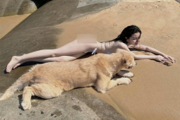 Diện mốt áo tắm ”lỏng lẻo”: Nữ sinh Sài thành dắt chó đi dạo hot nhất bãi biển?