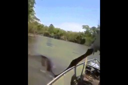 Video: Người đàn ông dùng tay không bắt trăn Anaconda ”khủng” trên sông