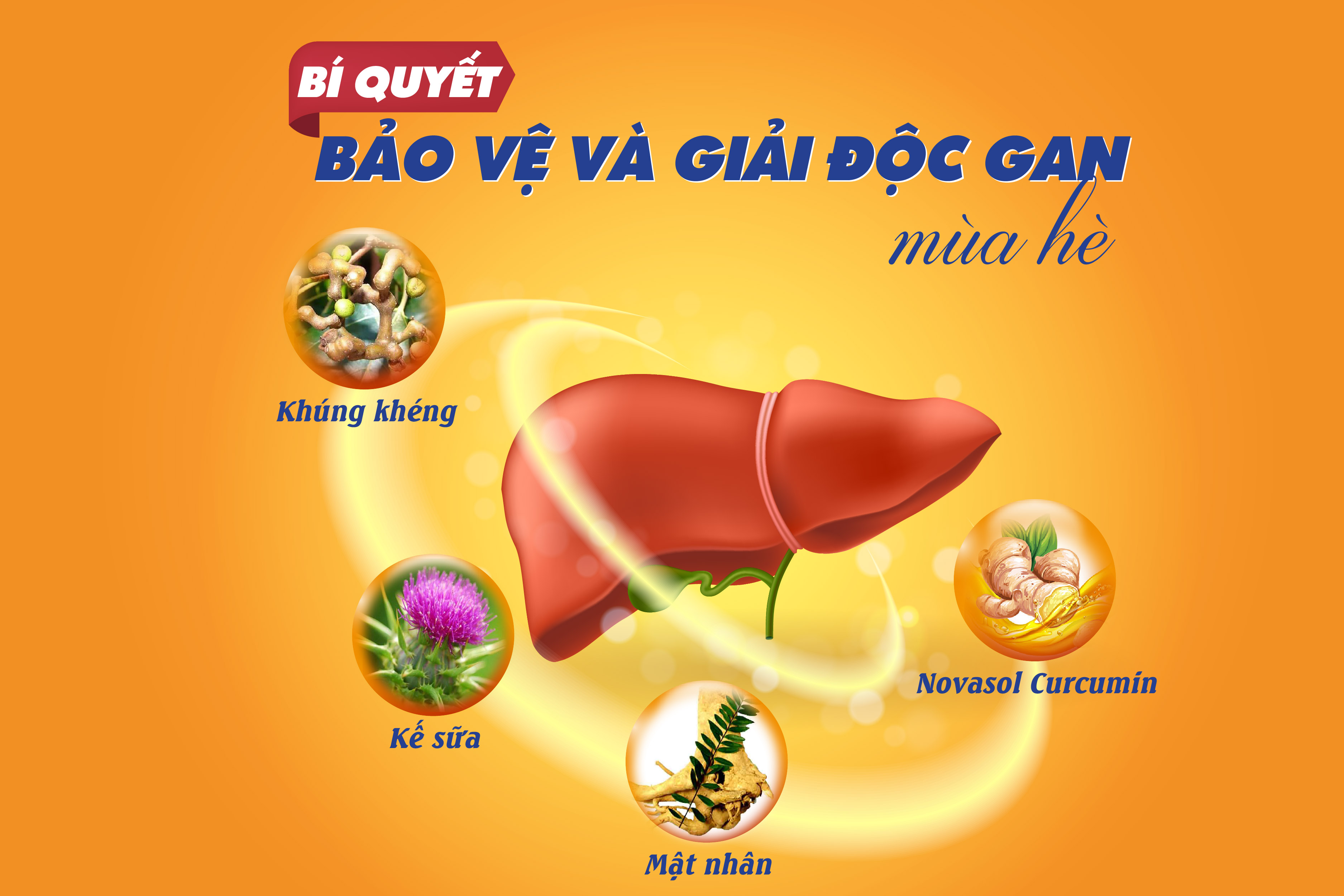 Bí quyết bảo vệ và giải độc gan mùa hè - 1