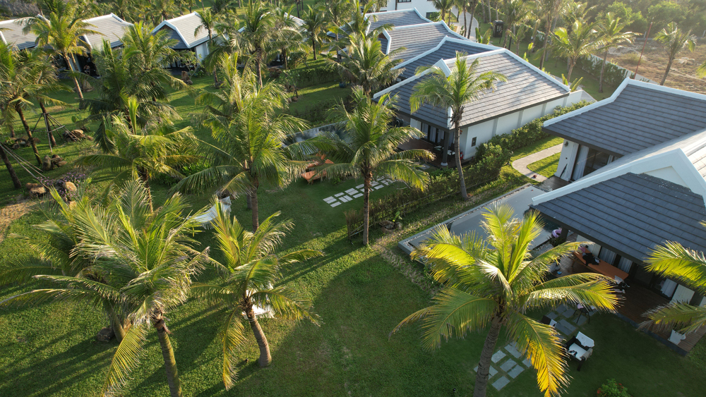 Không gian được phủ xanh bởi hệ cây miền nhiệt đới