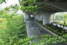 Tin tức trong ngày - Những con đường "tỏa bóng mát, xua tan nắng mưa" ở Hà Nội