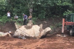 Tin tức trong ngày - Xôn xao thông tin người dân đào được tảng đá hình con rùa: Chính quyền xã nói gì?