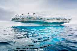 Media - Điều ít biết về đại dương thứ 5 trên Trái Đất