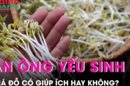 Ẩm thực - Đàn ông yếu sinh lý ăn giá đỗ có giúp ích hay không?