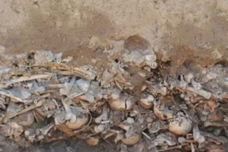 Phát hiện mộ tập thể với hàng trăm bộ hài cốt được mai táng trong tư thế đáng sợ tại Ba Lan