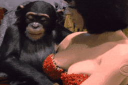 Đời sống Showbiz - Nữ MC bị sàm sỡ: Người hoảng loạn, người xử đẹp "yêu râu xanh"