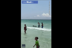 Thế giới - Video: Tưởng chó bơi ngoài biển, hoảng hồn khi tới gần nhìn rõ