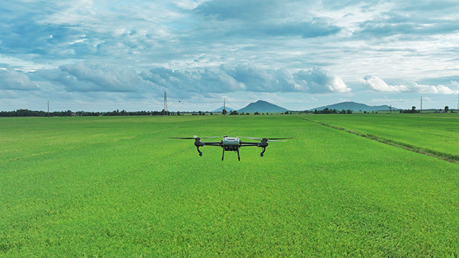 Máy bay nông nghiệp của AgriDrone đang phun thuốc cho cánh đồng lúa