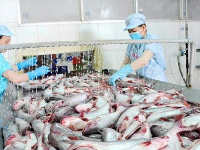 Thị trường - Tiêu dùng - Thuỷ sản Việt Nam bán sang Mỹ sắp tăng mạnh trở lại?