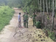 Pháp luật - Phát hiện thi thể bé sơ sinh mất 1 chân ở Bình Phước: Làm việc với người mẹ