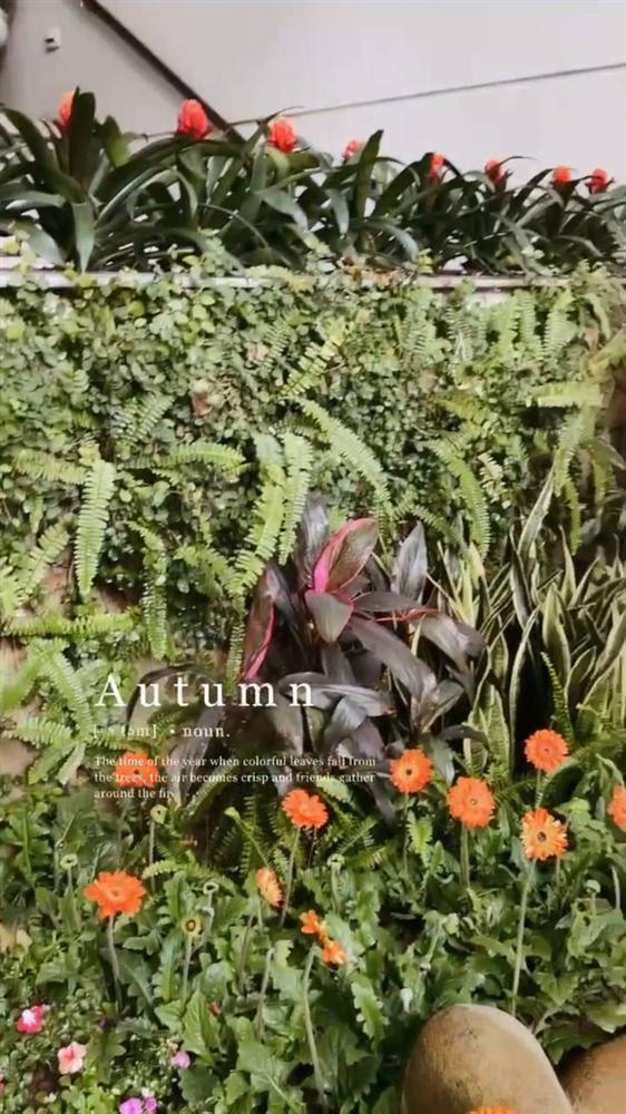 Phu nhân tập đoàn nghìn tỷ gây "sốt" khi lấy túi xách hàng trăm triệu đựng bỉm cho con, hiếm hoi tiết lộ góc biệt thự xa hoa - 8