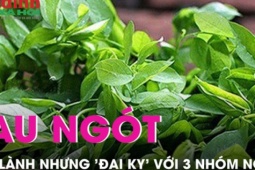 Rau ngót cực lành nhưng 3 nhóm người này muốn sống khỏe mạnh tuyệt đối không nên sử dụng