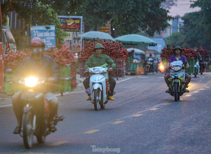 Công việc dù vất vả từ đêm tối đến sáng sớm nhưng các hộ dân ai cũng vui vẻ vì năm nay vải được mùa.