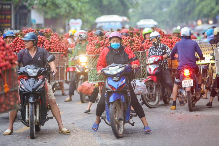 Năm nay thủ phủ vải của Bắc Giang trúng mùa lớn, quả đẹp, thơm ngọt, giá bán trung bình từ 20.000 đến 25.000 đồng/kg.