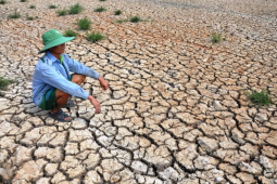 Tin tức trong ngày - El Nino chính thức xuất hiện, Việt Nam đối mặt nắng nóng, hạn hán khốc liệt