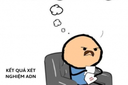 Cười 24H - Kết quả xét nghiệm ADN khiến người đàn ông "bật ngửa"