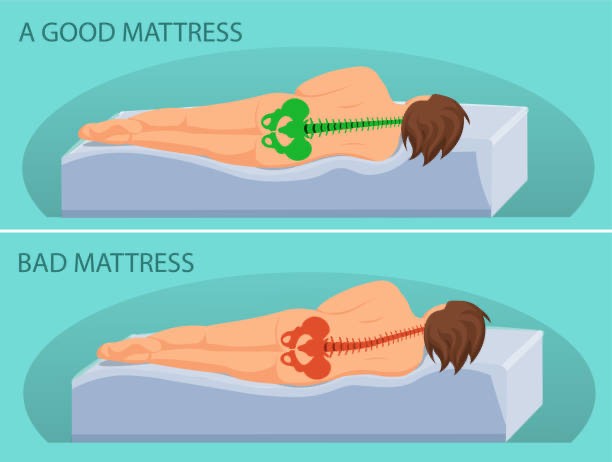 Nệm bông ép Busan gần 20 năm đồng hành cùng khách hàng - 3