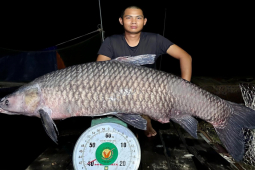 Tin tức trong ngày - Câu được cá trắm nặng 41kg, cần thủ quyết không bán