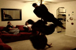 Tranh vui - Những màn thể hiện... "ối zời ơi"