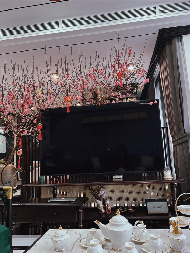 Điểm chung thú vị giữa 2 cơ ngơi của vợ mới - Phương Oanh và vợ cũ - Đào Lan Hương của Shark Bình - 3