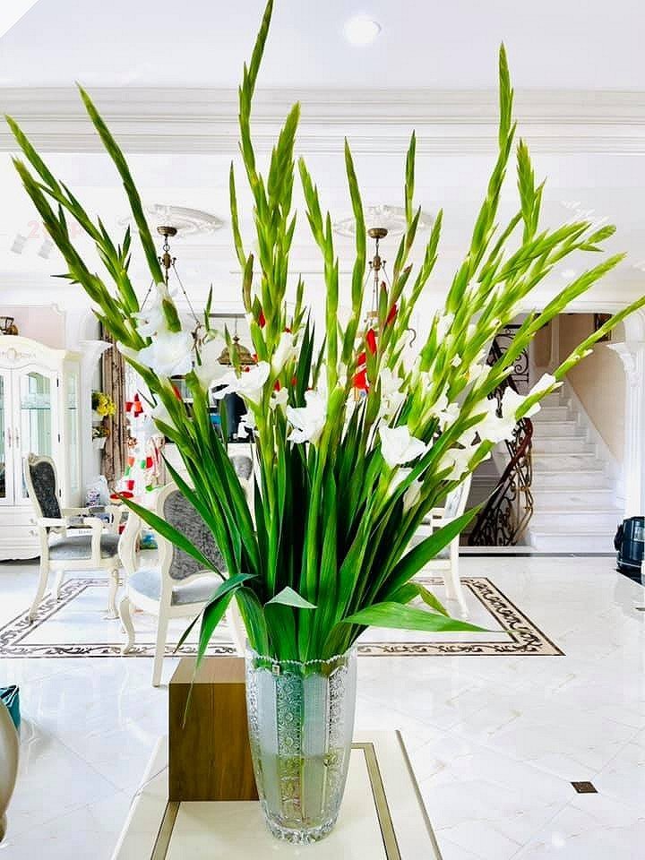 Điểm chung thú vị giữa 2 cơ ngơi của vợ mới - Phương Oanh và vợ cũ - Đào Lan Hương của Shark Bình - 9