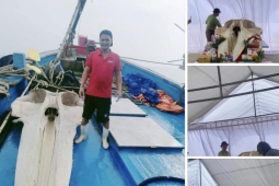 Tin tức trong ngày - Vớt được mảnh xương sọ cá voi nặng hơn 2 tạ, ngư dân cho vào tủ kính trưng bày