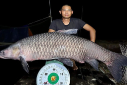 Tin tức trong ngày - Cần thủ bán cá trắm đen nặng 41kg với số tiền “khủng”