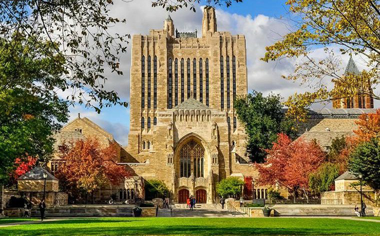 Đại học Yale nằm ở thành phố New Haven, tiểu bang Connecticut, Mỹ. New Haven là thành phố lớn thứ 3 của tiểu bang Connecticut, có dân số khoảng 130.000 người.&nbsp;
