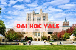 Giáo dục - du học - Đại học Yale: Ngôi trường đào tạo ra 5 đời tổng thống Mỹ