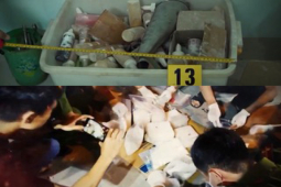 Pháp luật - Triệt xóa đường dây bào chế, mua bán ma túy do Trí "cá voi" cầm đầu