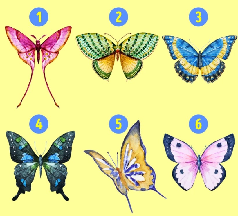 Con bướm thu hút nhất tiết lộ tính cách sâu bên trong bạn - 1