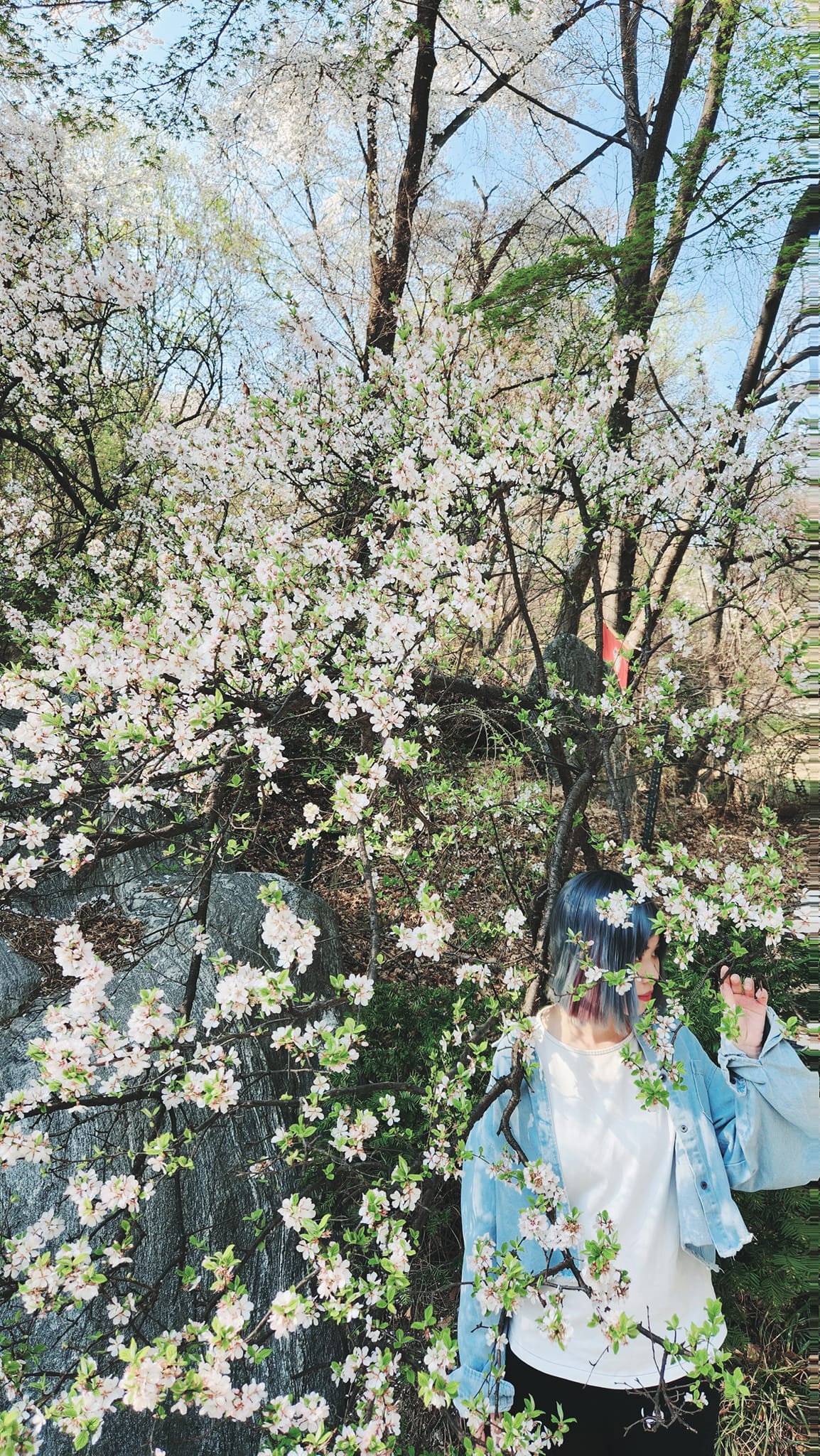 Hành trình thực hiện giấc mơ "tiếng Hàn" cùng Đỗ Thanh - 5