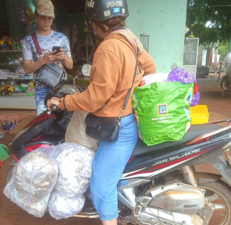 Nấm mối được nhiều người tìm đến tận nơi thu mua.