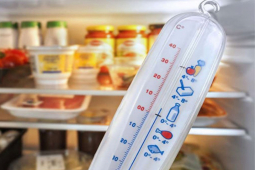 Media - [Podcast] Bí quyết đơn giản xử lý, bảo quản thực phẩm đông lạnh khi nhà mất điện