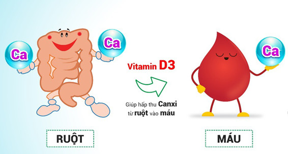 4 thứ giúp phát triển chiều cao hiệu quả, càng dùng đúng và đủ, trẻ càng cao - 3
