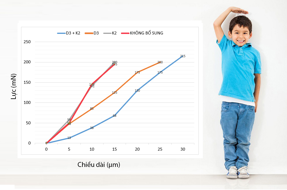 Khi được bổ sung kết hợp vitamin D3 và vitamin K2, chiều dài xương tăng tốt gấp 2 lần so với khi không được bổ sung bất kỳ loại vitamin nào