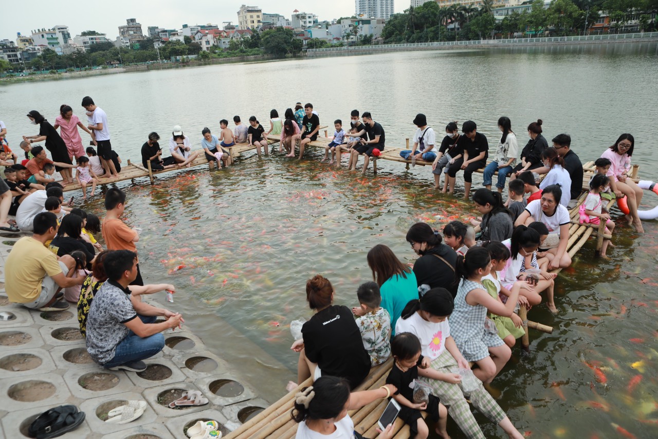 Đàn cá Koi hàng nghìn con được thả ở hồ Đầm Đông, người dân Hà Nội tấp nập đến cho ăn - 1