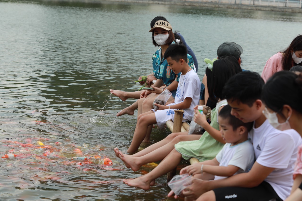 Đàn cá Koi hàng nghìn con thả ở hồ Đầm Đông, người dân Hà Nội tấp nập đến cho ăn - 6